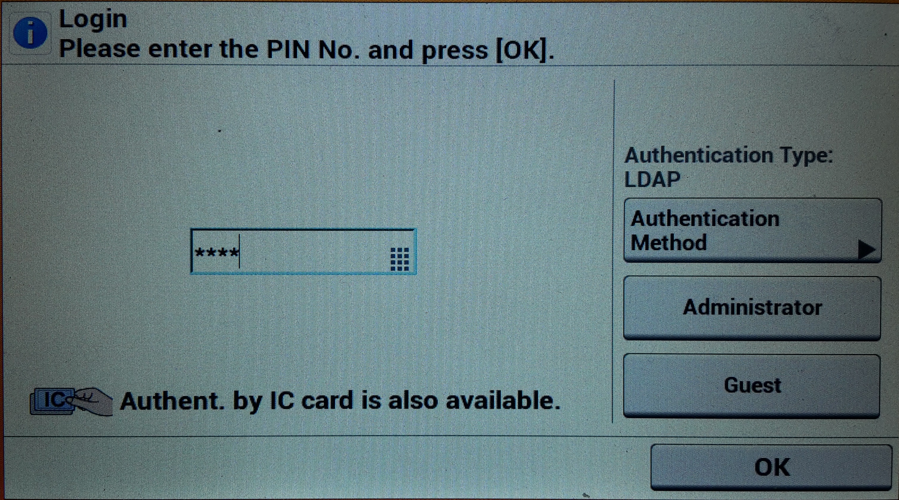 pin1.jpg