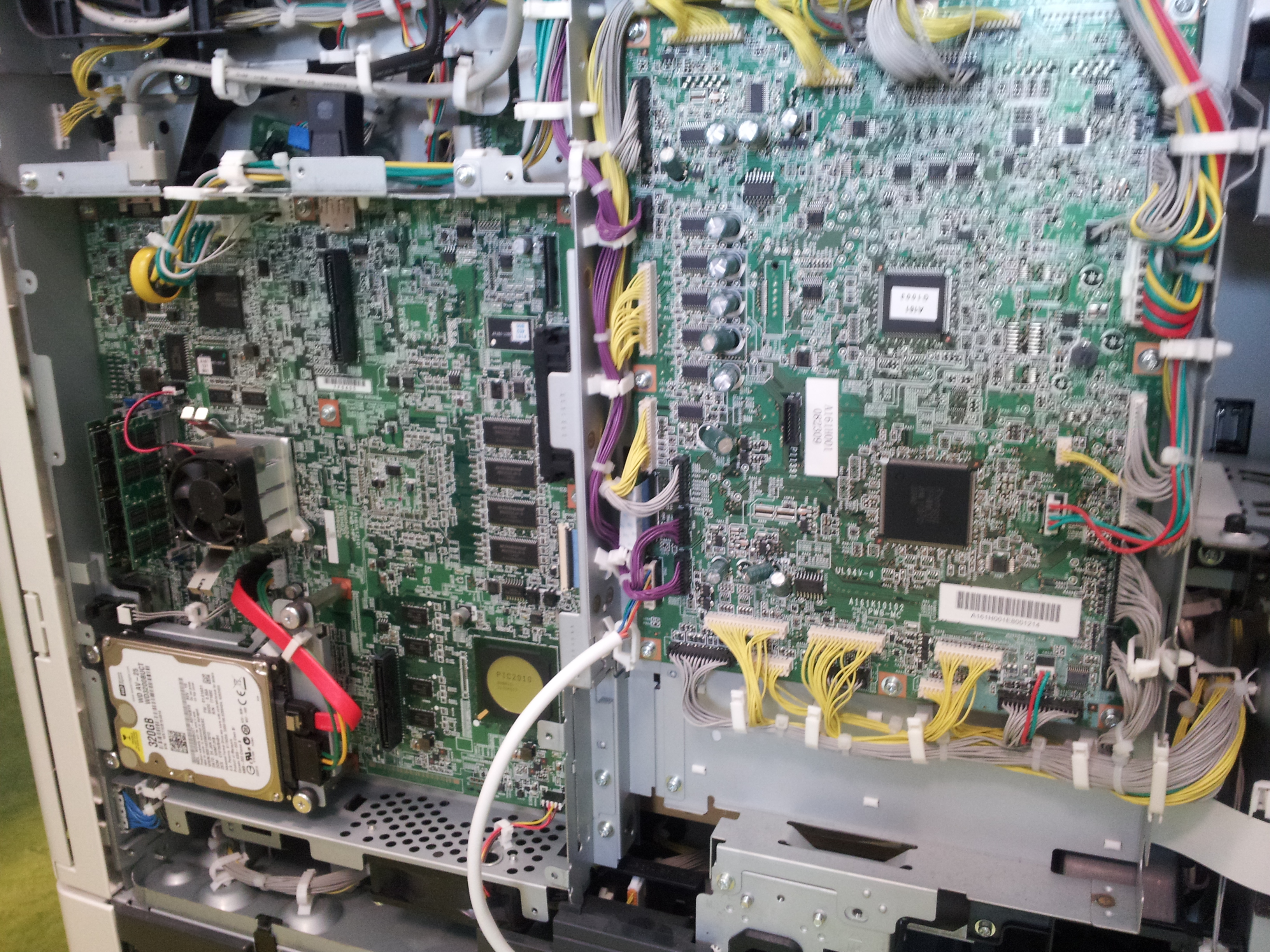 2013-03-25 13.35.42.jpg