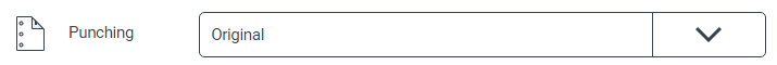 YSOFT_FO_edit_advance_page_punching.png