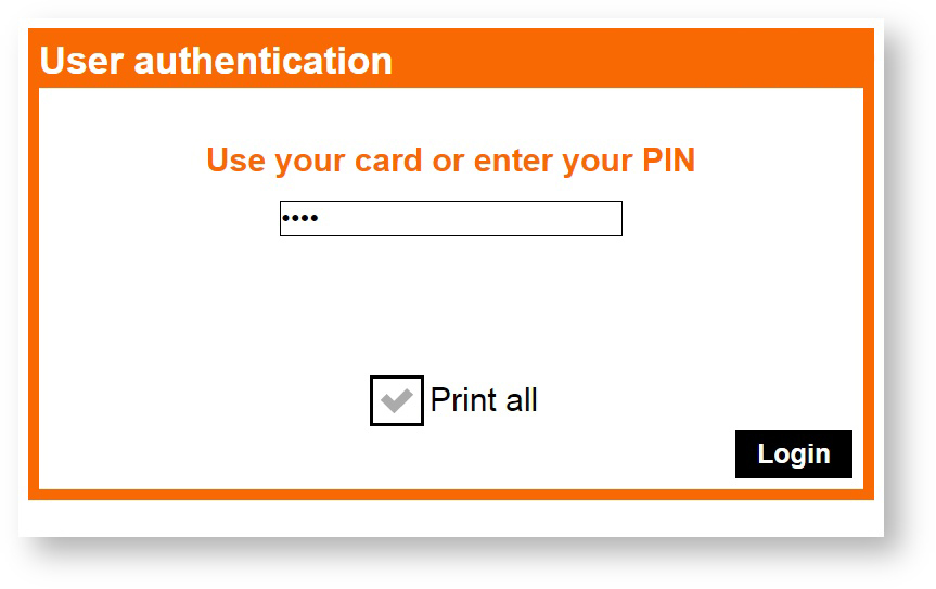 03 - pin entered.PNG.jpg