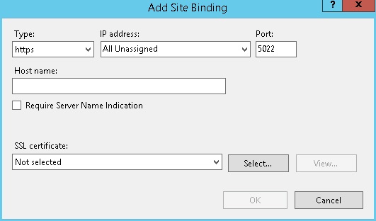 Step2 - ssl binding - form.jpg