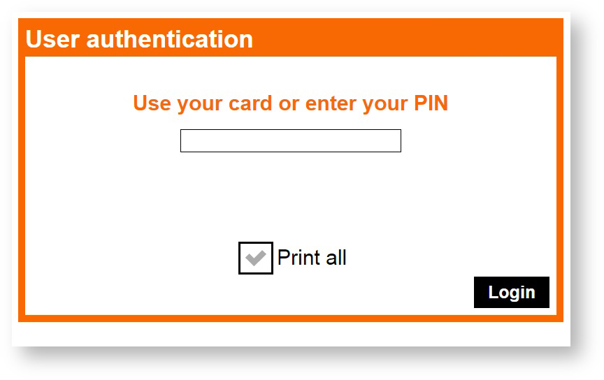 01 - use pin.PNG.jpg