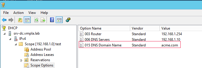 dhcp-scope-options-dns-domain-name.png
